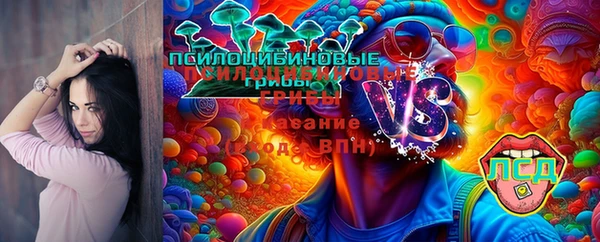 марихуана Белокуриха