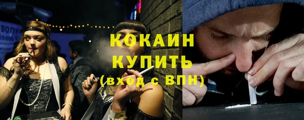 дмт Богородск